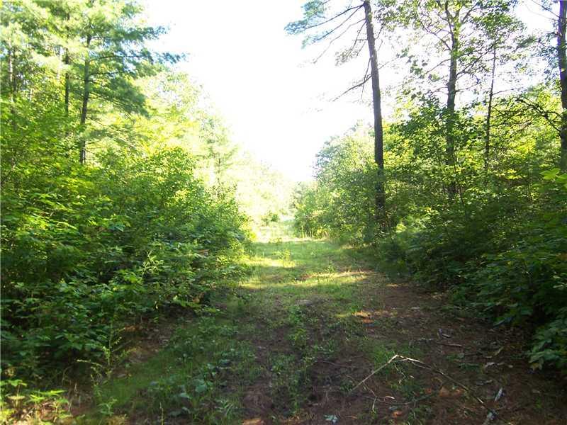 Lot 50 Tiger Hill Road Poland, ME 04274 - Photo 3 of 6 Land/Lot.