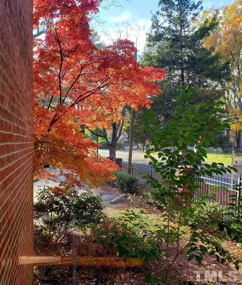 1401 Governors Court Raleigh, NC 27604 - Photo 28 of 30 Side of townhome, ample room for privacy.