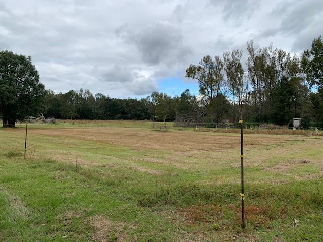 16550 Pne Grv Rd Extension North Bay Minette, AL 36507 - Photo 36 of 42
