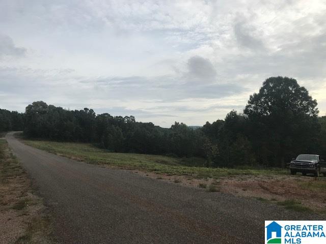1375 Antioch Road, Unit 28 AC Ashland, AL 36251 - Photo 10 of 10 Gallery Image 10
