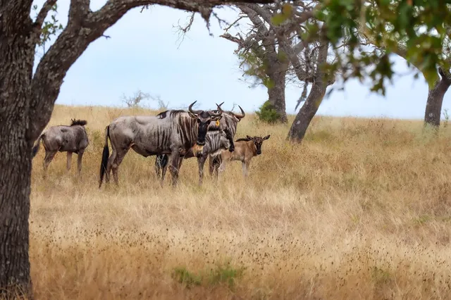 a view of a lake with a city