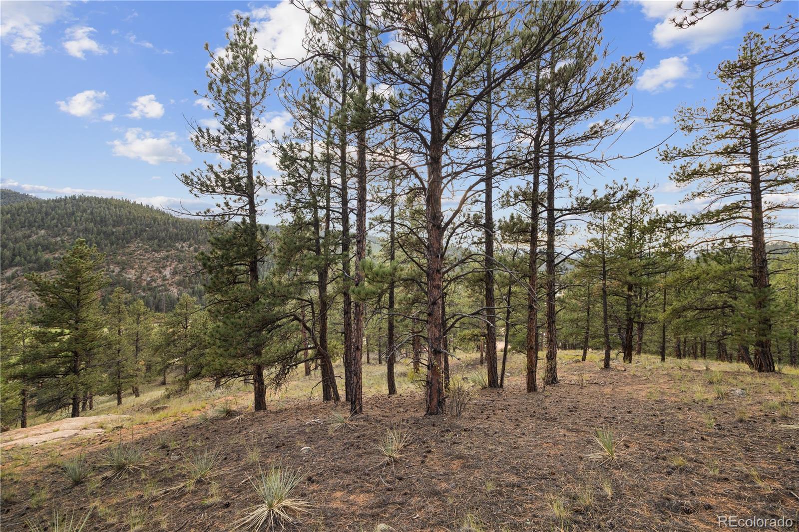 Brynmawr Rd Pine Pine, CO 80470 - Photo 28 of 45