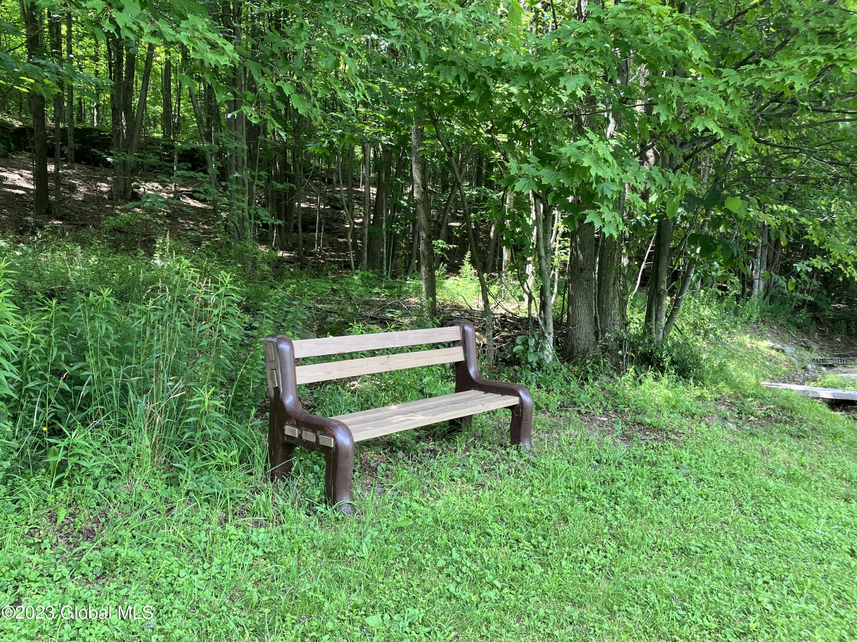 259 Lang Road Summit, NY 12175 - Photo 13 of 50 bench by woods