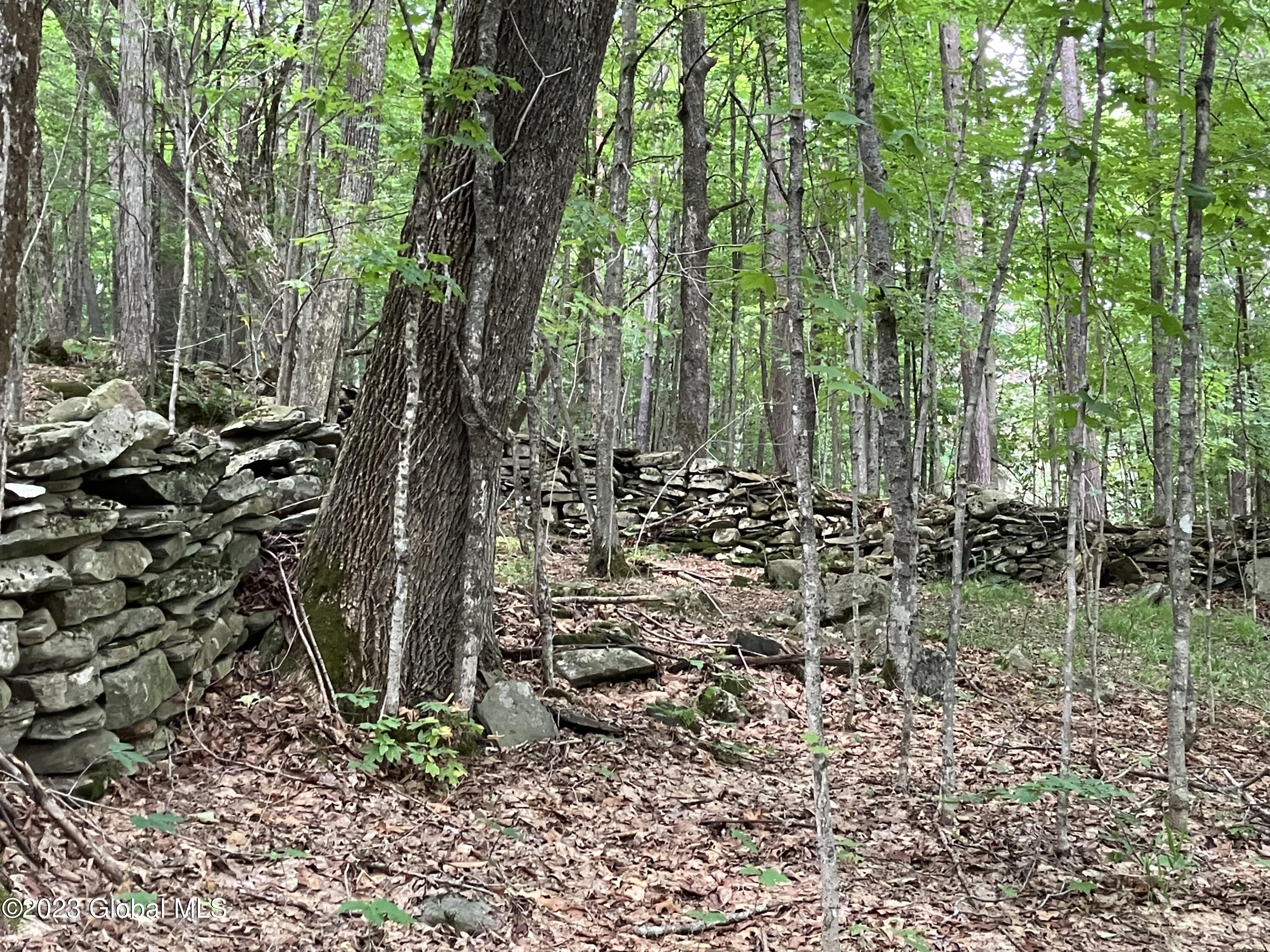 259 Lang Road Summit, NY 12175 - Photo 15 of 50 nice woods