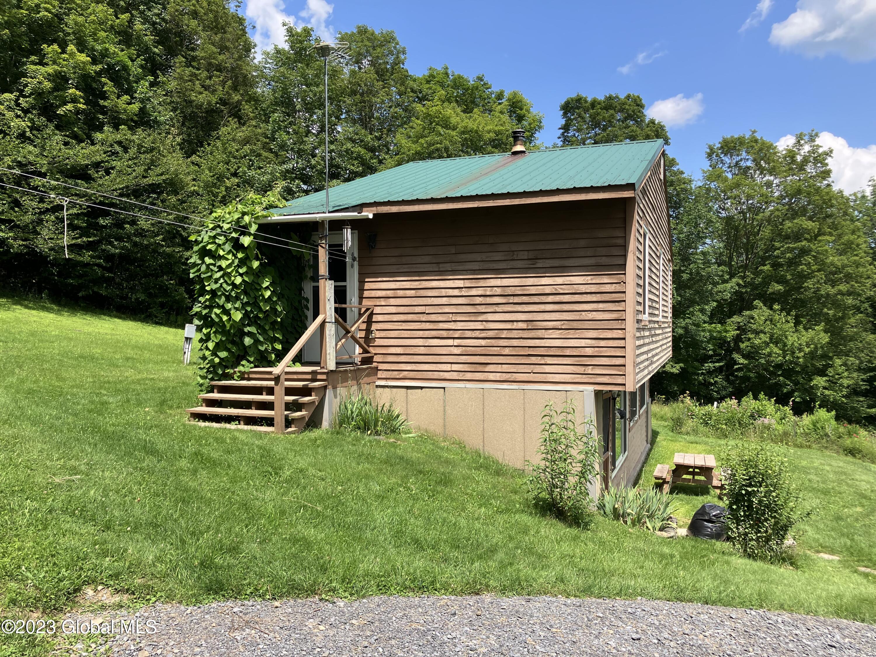 259 Lang Road Summit, NY 12175 - Photo 2 of 50 west side of house