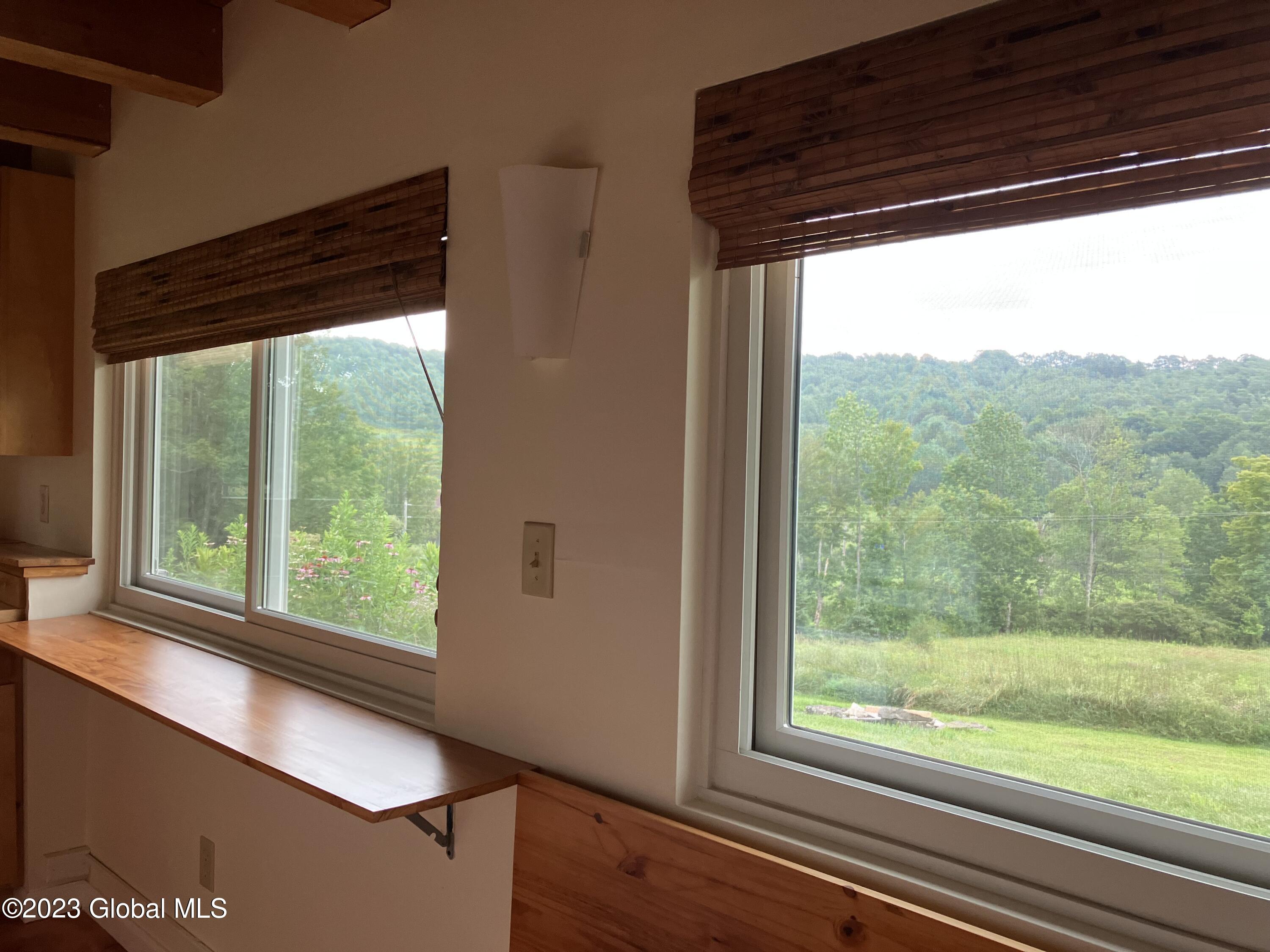 259 Lang Road Summit, NY 12175 - Photo 23 of 50 2 windows