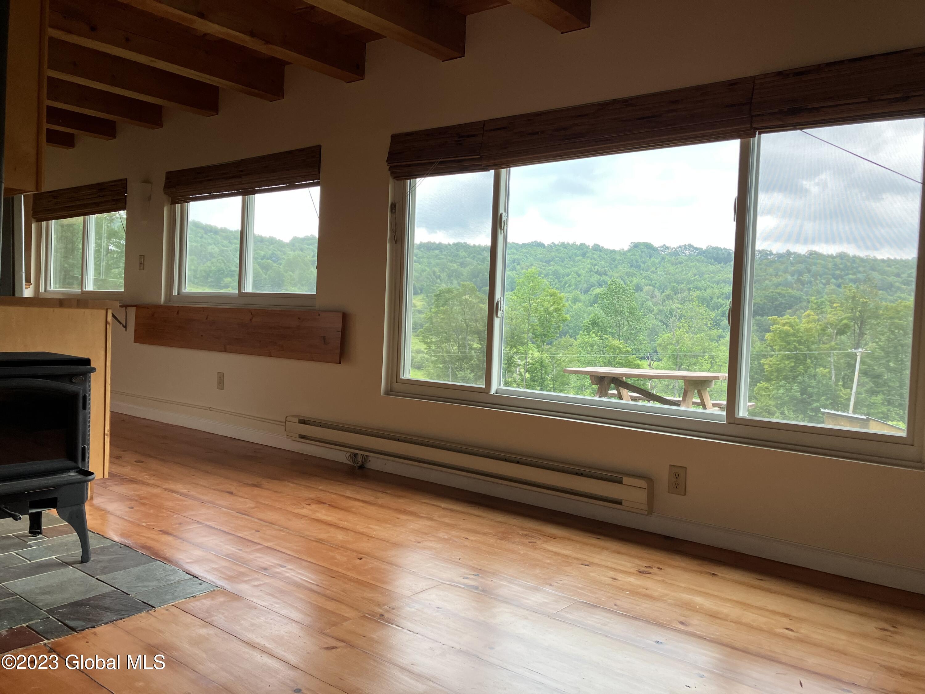 259 Lang Road Summit, NY 12175 - Photo 24 of 50 3 windows
