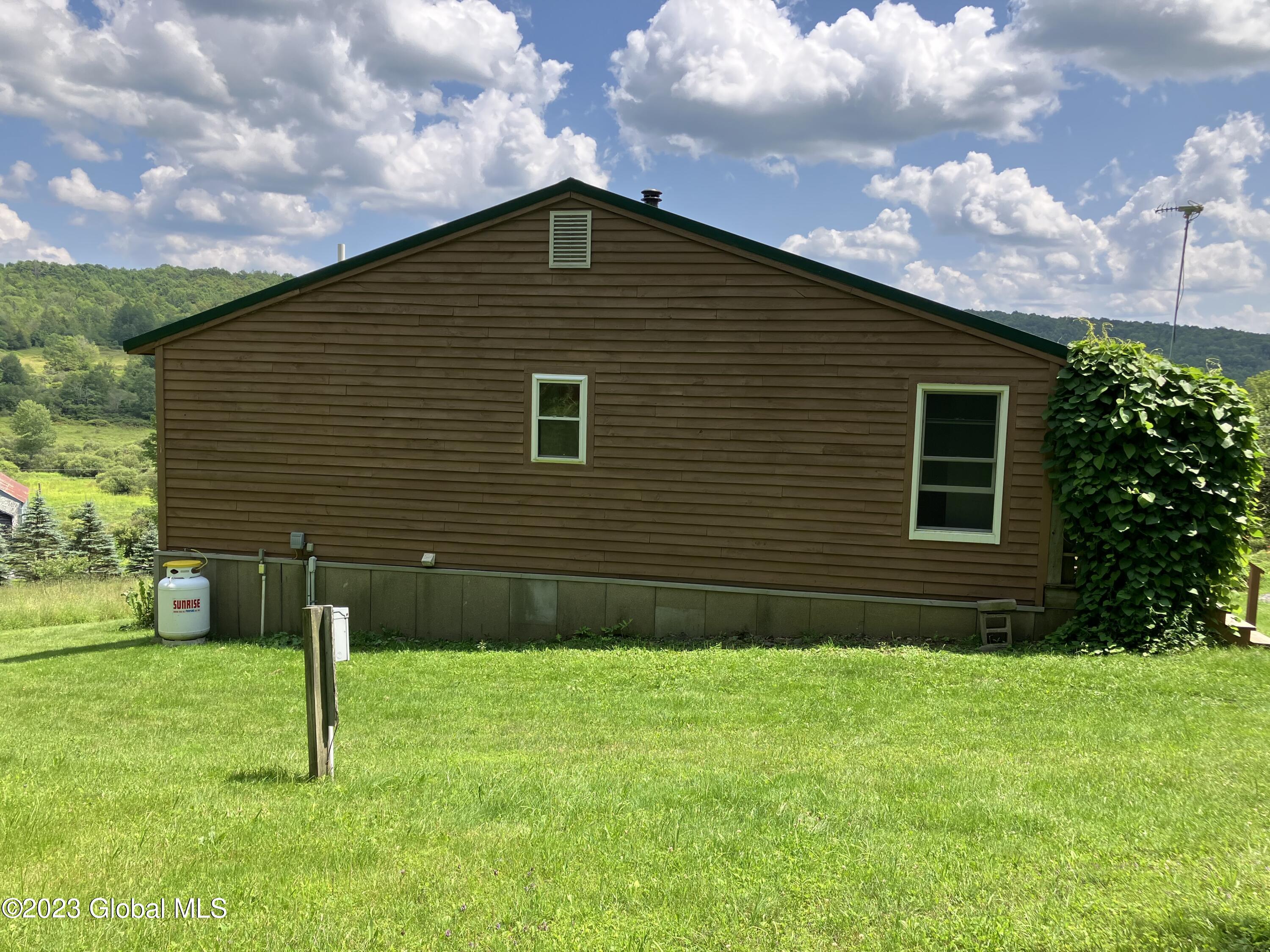 259 Lang Road Summit, NY 12175 - Photo 3 of 50 Back of house