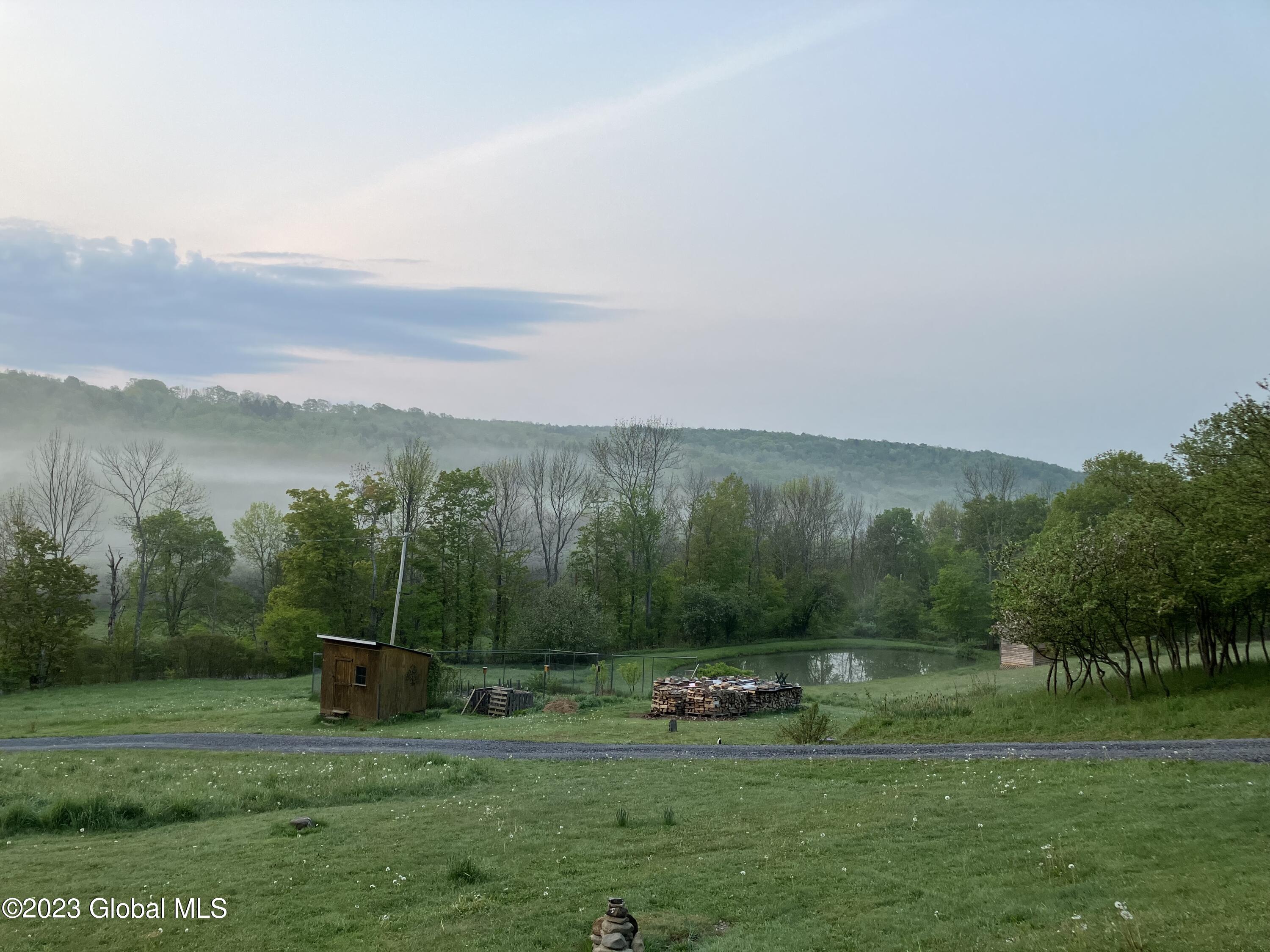 259 Lang Road Summit, NY 12175 - Photo 6 of 50 foggy morning