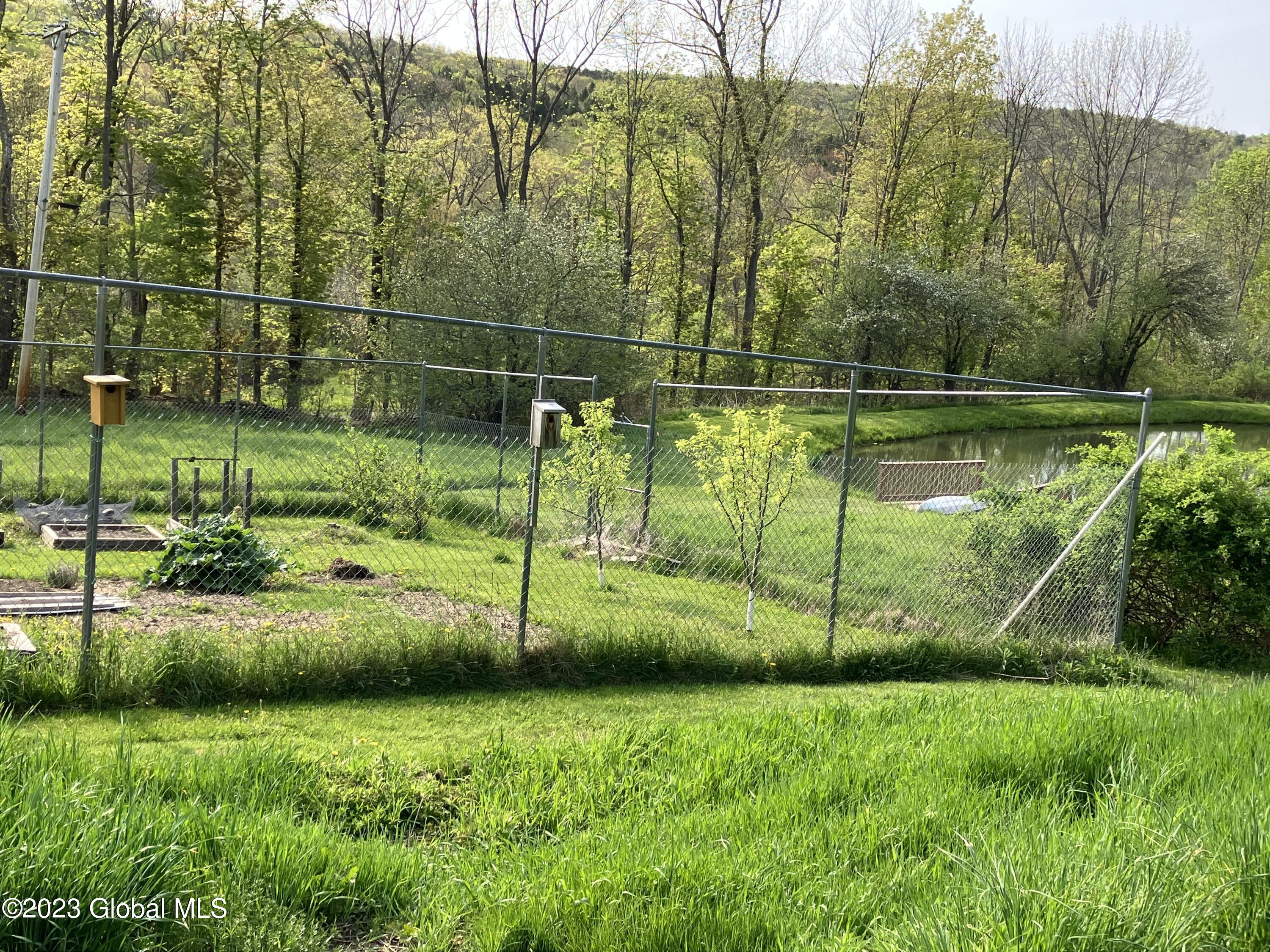 259 Lang Road Summit, NY 12175 - Photo 10 of 50 nicer garden with pond
