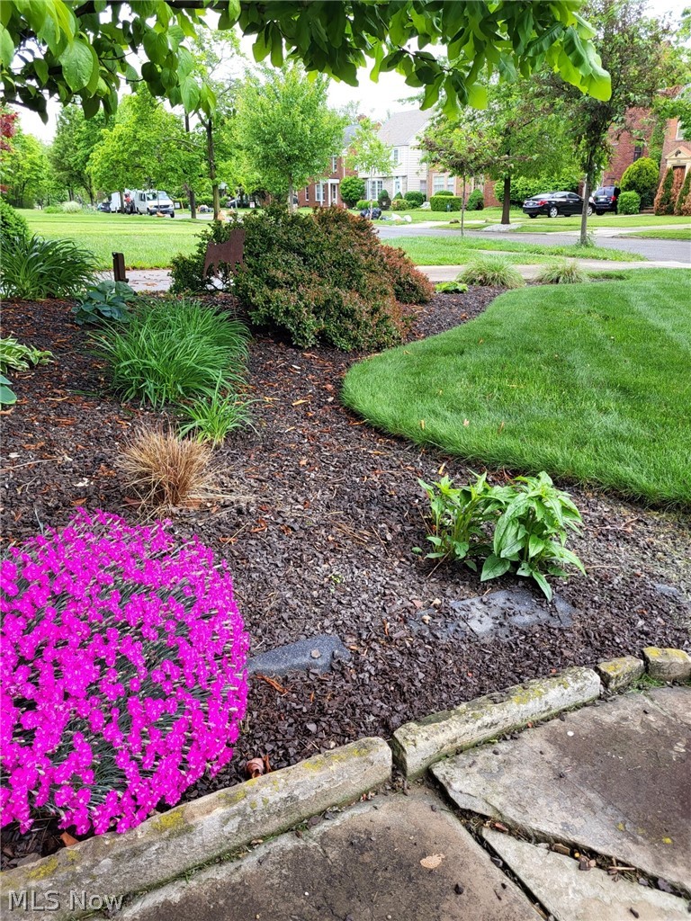 3646 Lynnfield Road Shaker Heights, OH 44122 - Photo 5 of 26