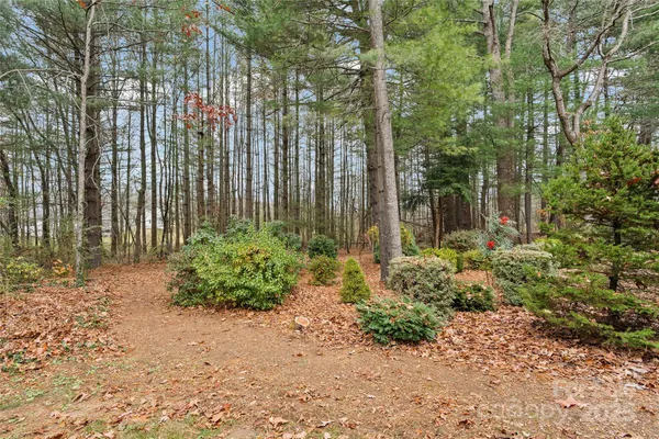 a garden with trees in front of it