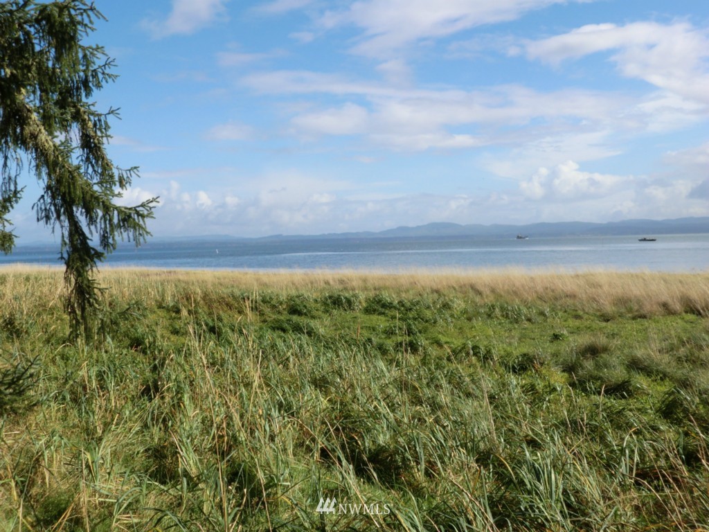 31412 Sandridge Road Oysterville, WA 98641 - Photo 1 of 10 Gallery Image 1