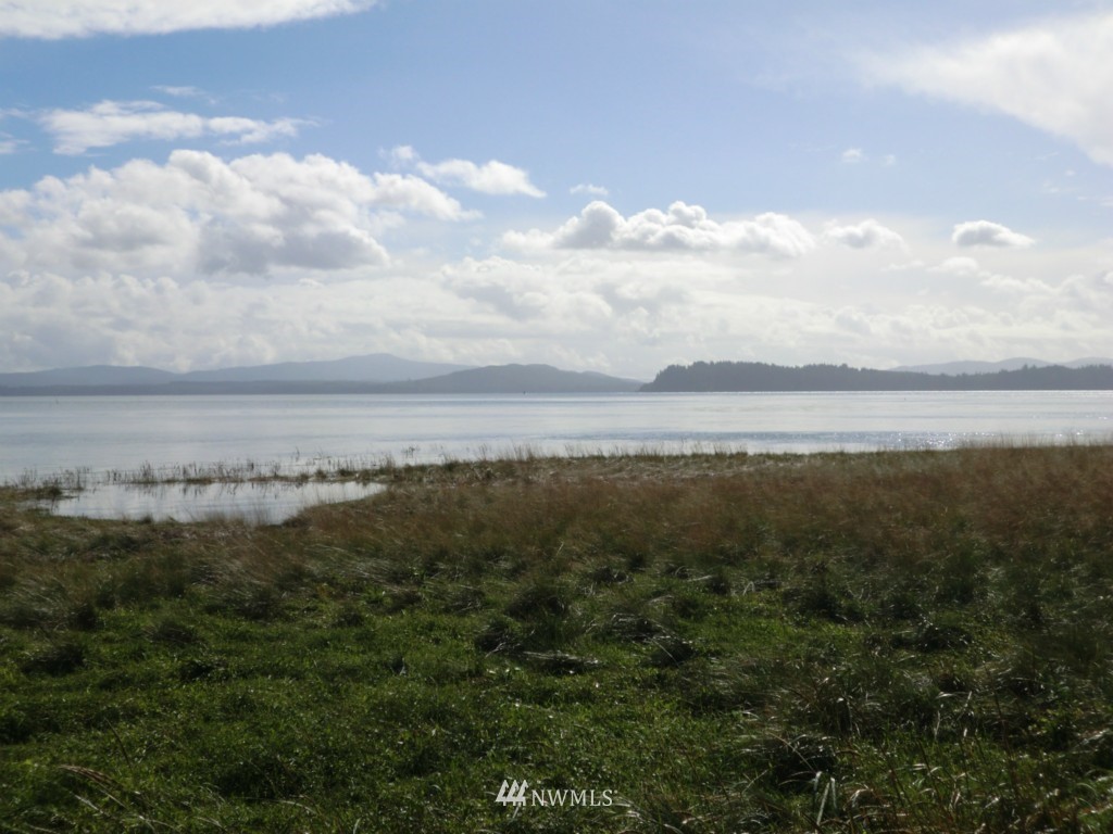31412 Sandridge Road Oysterville, WA 98641 - Photo 3 of 10 Gallery Image 3