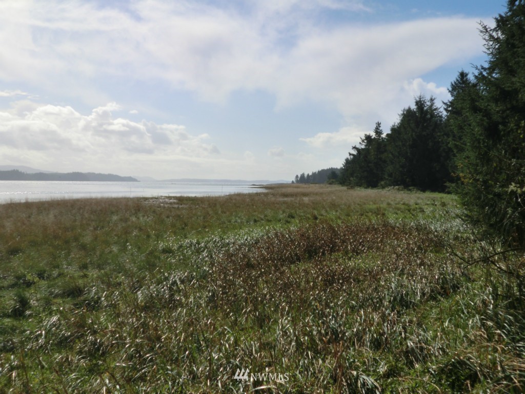 31412 Sandridge Road Oysterville, WA 98641 - Photo 4 of 10 Gallery Image 4