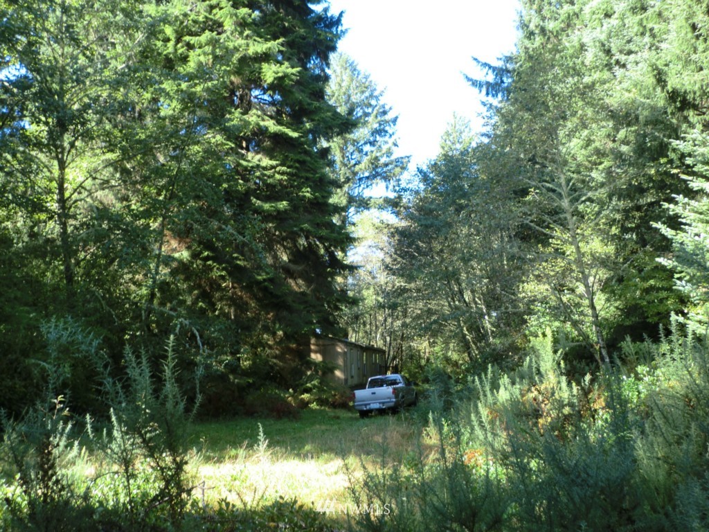 31412 Sandridge Road Oysterville, WA 98641 - Photo 5 of 10 Gallery Image 5