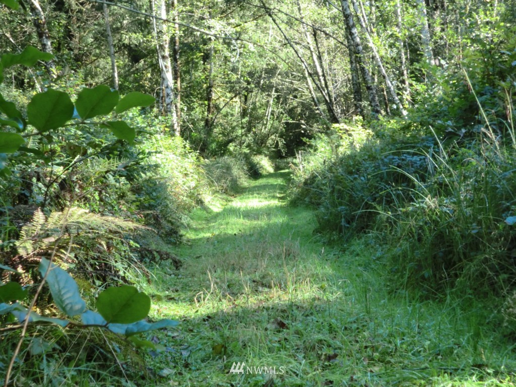 31412 Sandridge Road Oysterville, WA 98641 - Photo 8 of 10 Gallery Image 8