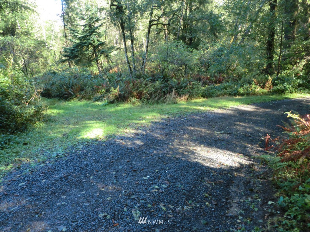 31412 Sandridge Road Oysterville, WA 98641 - Photo 9 of 10 Gallery Image 9