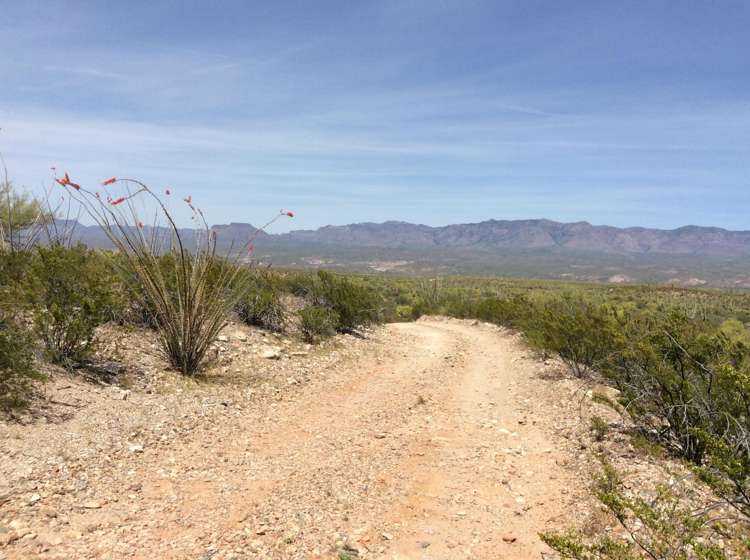 Peppersauce Mine Road San Manuel, AZ 85631 - Photo 23 of 33