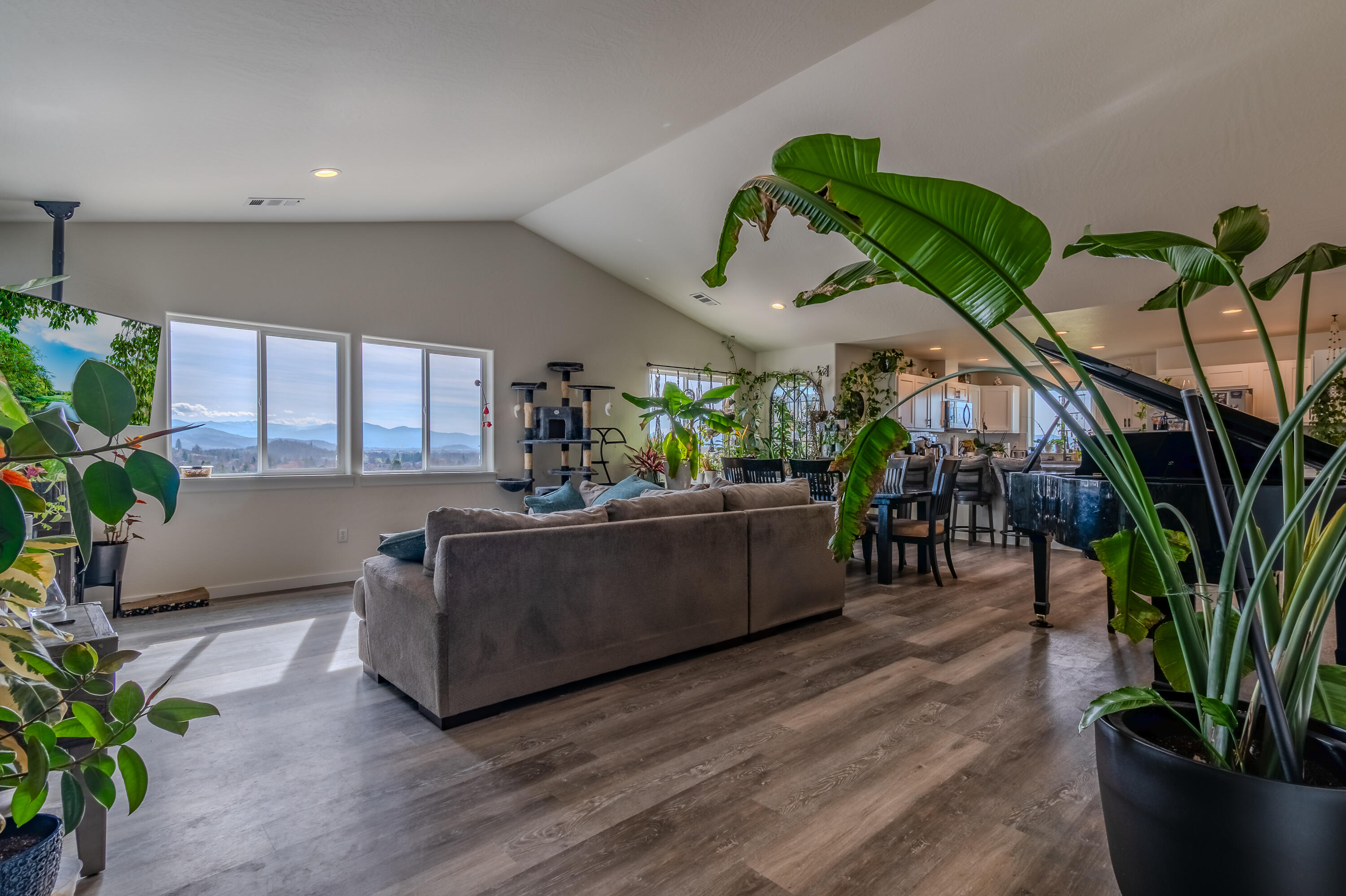 21 Cerulean Terrace Eagle Point, OR 97524 - Photo 5 of 30 a living room with furniture and a potted plant