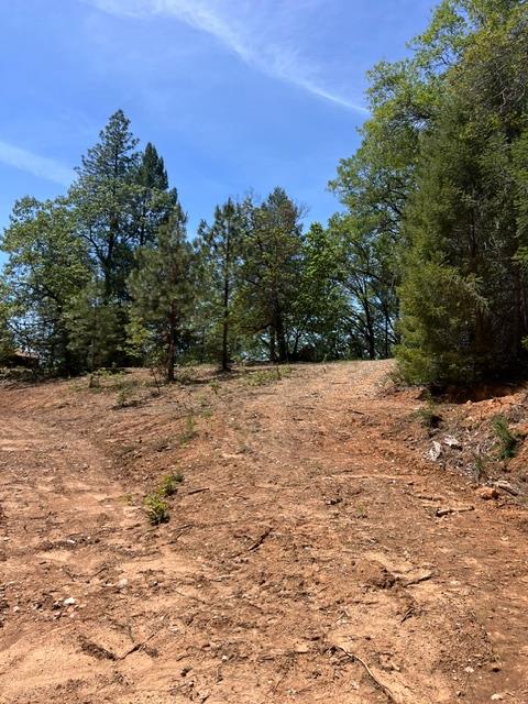 5040 Butterfield Stage Road Georgetown, CA 95634 - Photo 21 of 27