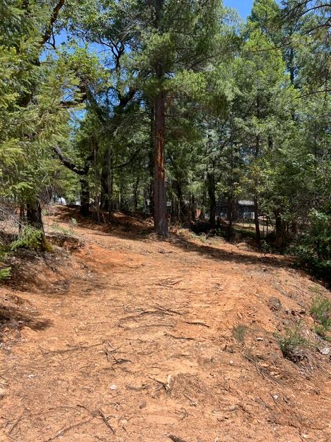 5040 Butterfield Stage Road Georgetown, CA 95634 - Photo 22 of 27