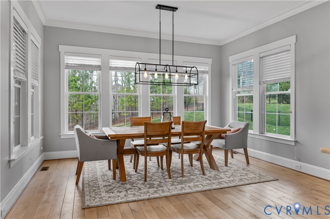 16030 Drumone Road Midlothian, VA 23112 - Photo 12 of 56