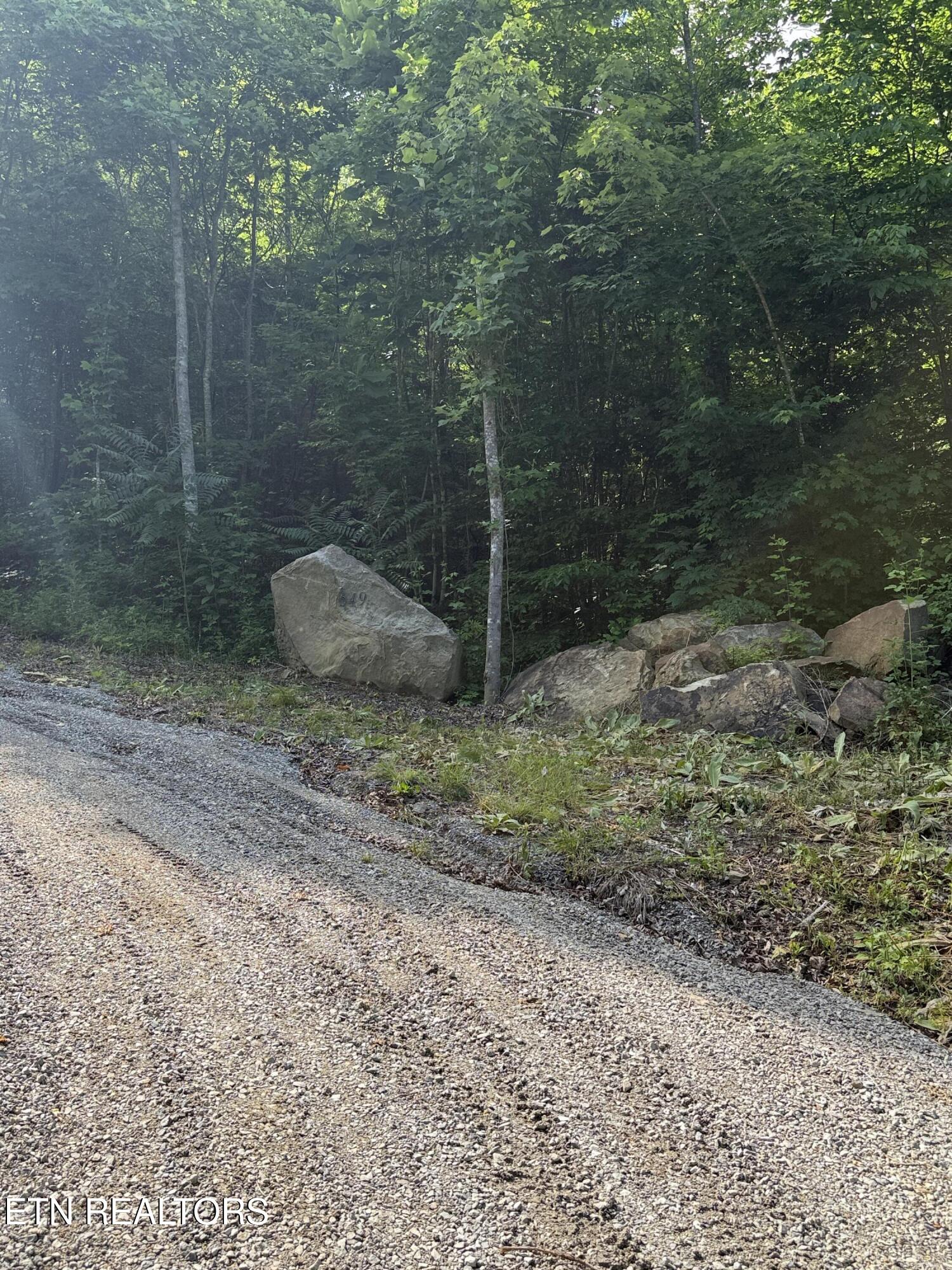 549 Defender Road La Follette, TN 37766 - Photo 38 of 42 Driveway