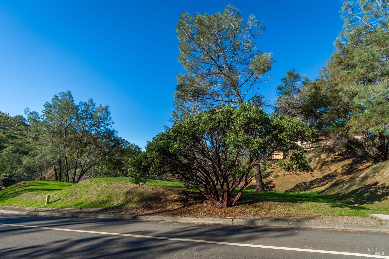 1155 Steele Canyon Road Napa, CA 94558 - Photo 5 of 8