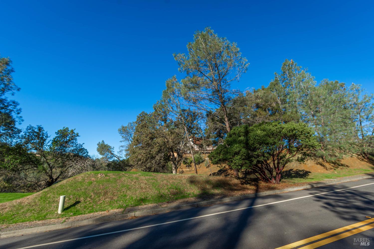 1155 Steele Canyon Road Napa, CA 94558 - Photo 6 of 8 a view of a tree with a yard