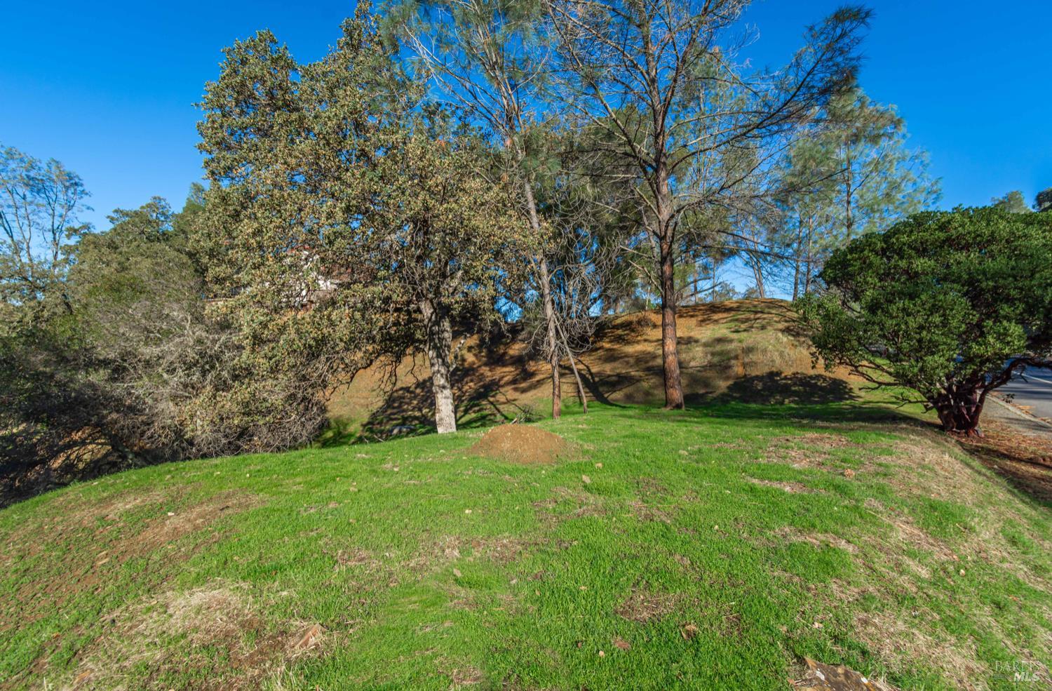 1155 Steele Canyon Road Napa, CA 94558 - Photo 6 of 9 a view of a backyard with large trees
