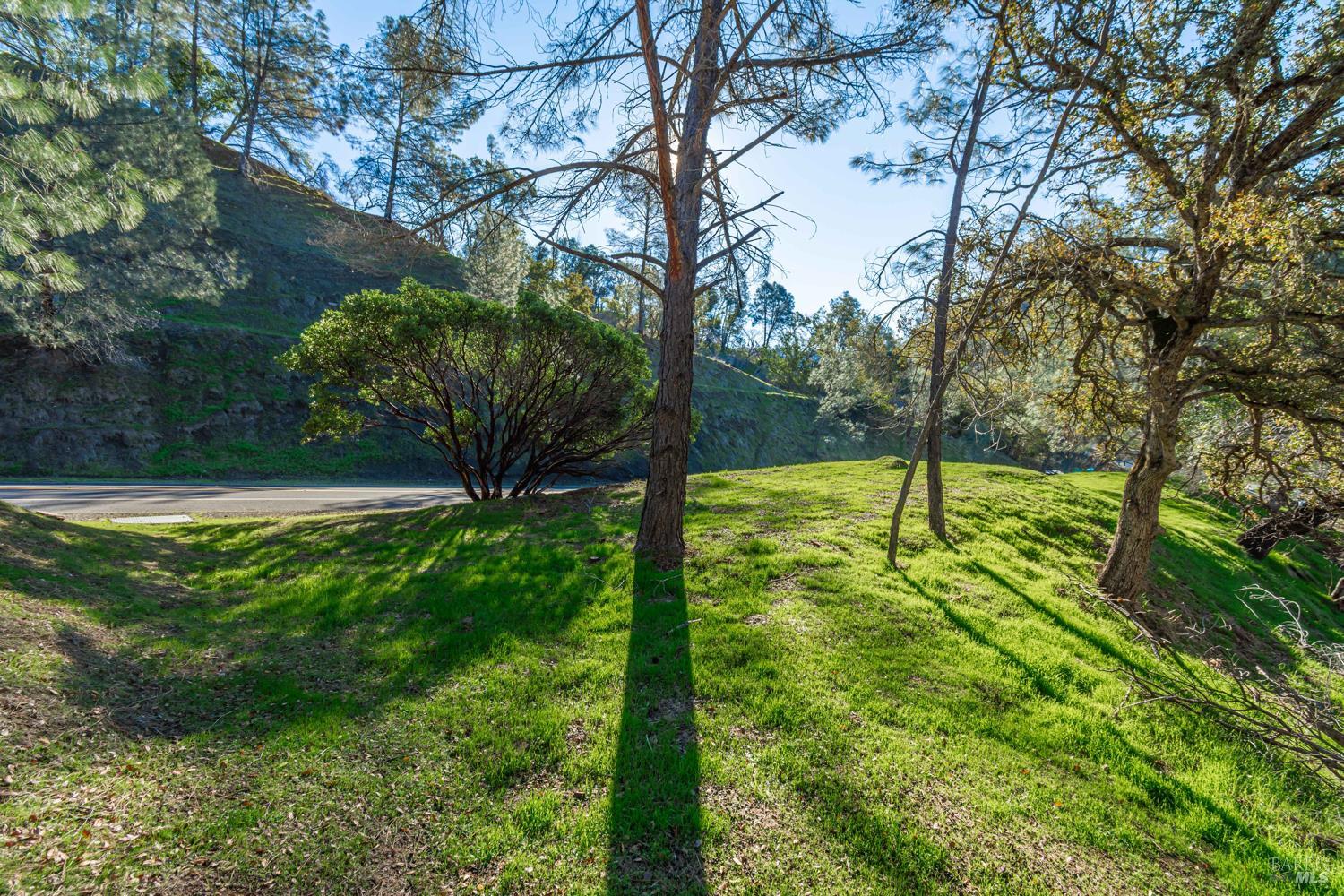 1155 Steele Canyon Road Napa, CA 94558 - Photo 9 of 9 a view of a yard with a tree