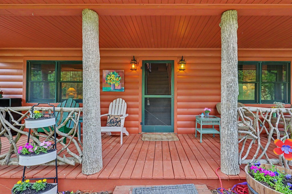 1139 Bearmeat Road Hiawassee, GA 30546 - Photo 4 of 46 Gallery Image 4