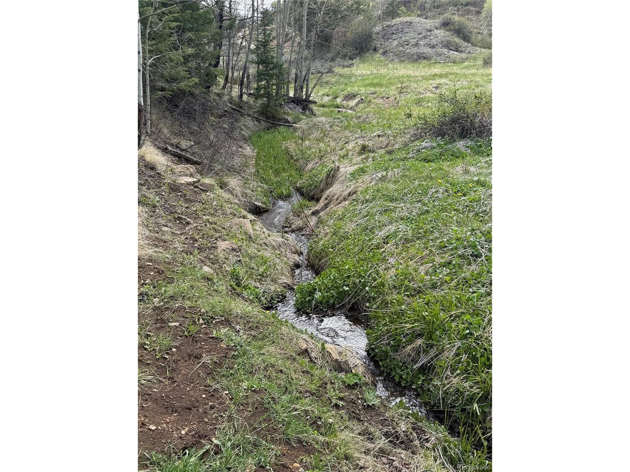 406 Schierl Road Fort Garland, CO 81133 - Photo 42 of 50 Year round creek
