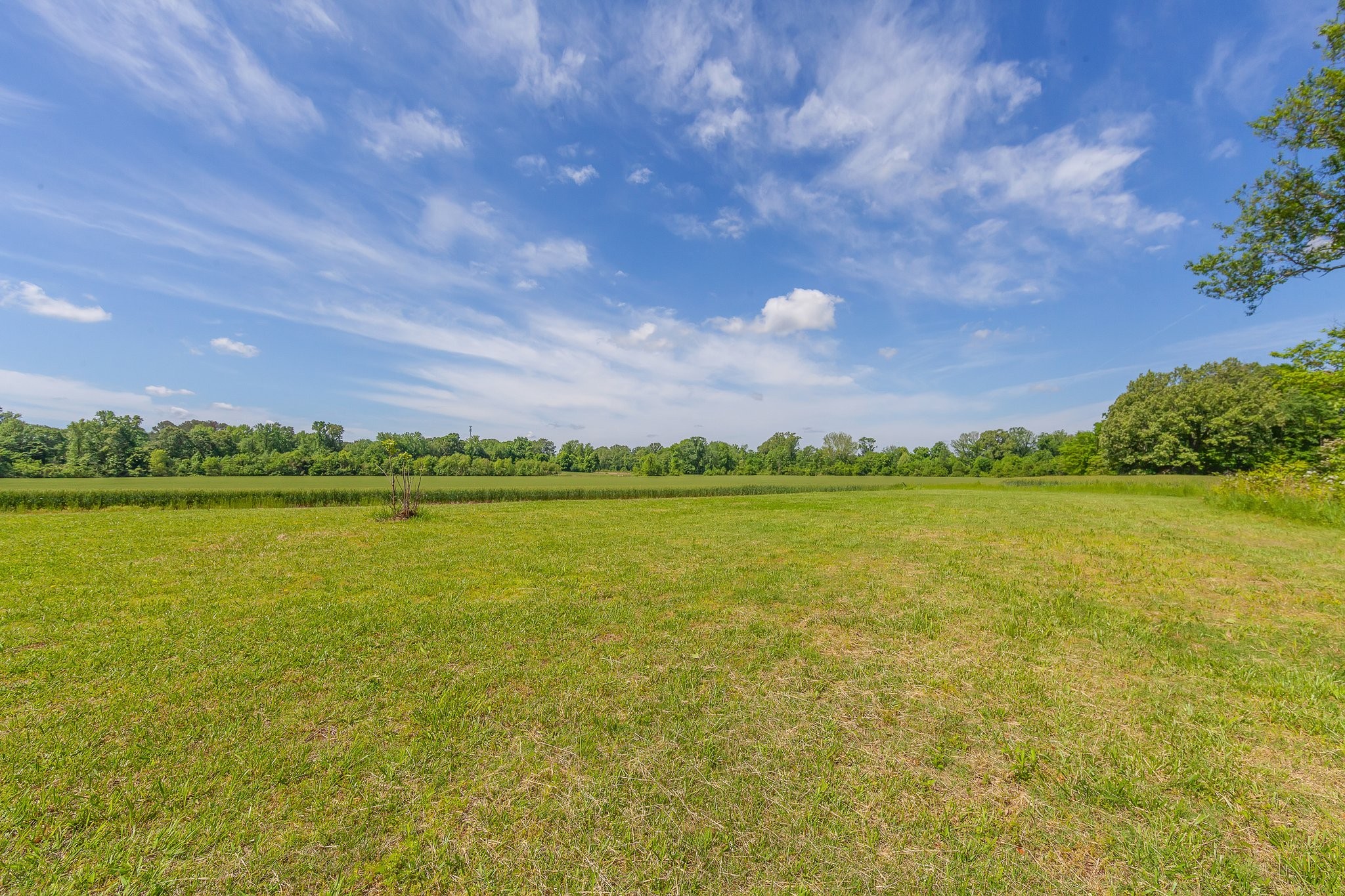 87 Gann Road Milan, TN 38358 - Photo 25 of 27 Gallery Image 25