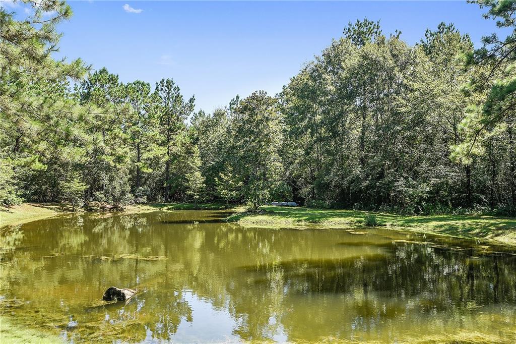 84195 North Factory Road Folsom, LA 70437 - Photo 4 of 24 Gallery Image 4