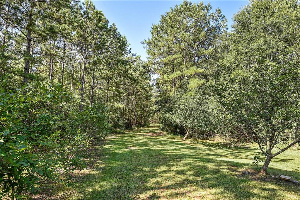 84195 North Factory Road Folsom, LA 70437 - Photo 5 of 24 Gallery Image 5