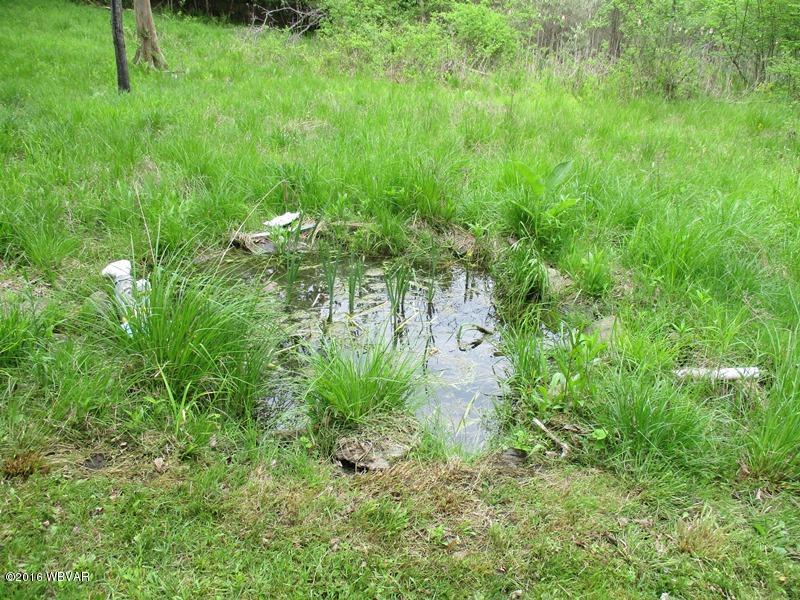 125 Back Mountain Road Mansfield, PA 16933 - Photo 23 of 29 24