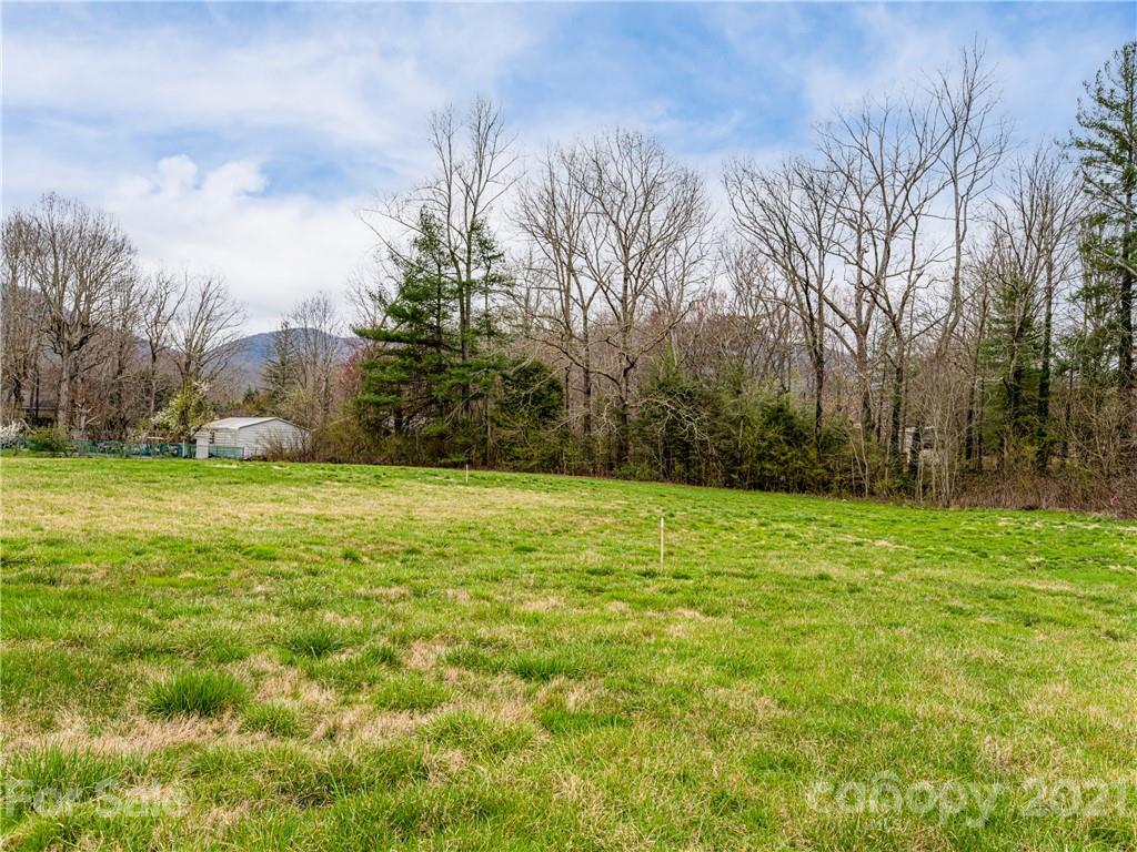 10 Souther Road, Unit 2 Fletcher, NC 28732 - Photo 25 of 38 a backyard of a house with lots of green space
