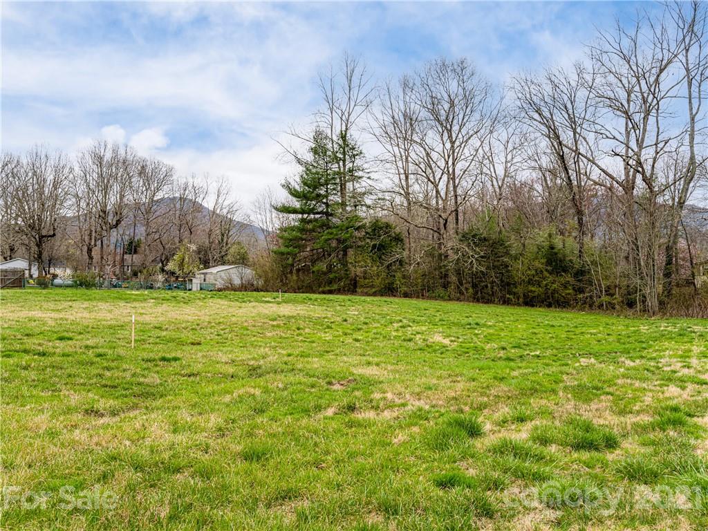 10 Souther Road, Unit 2 Fletcher, NC 28732 - Photo 26 of 38 a view of yard with green space