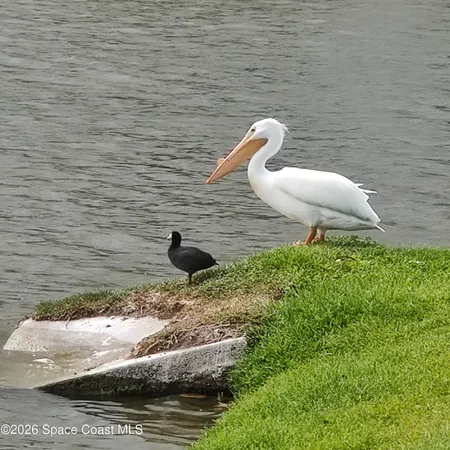 $2,350 | 2061 Tiburon Lane, Melbourne, FL 32940