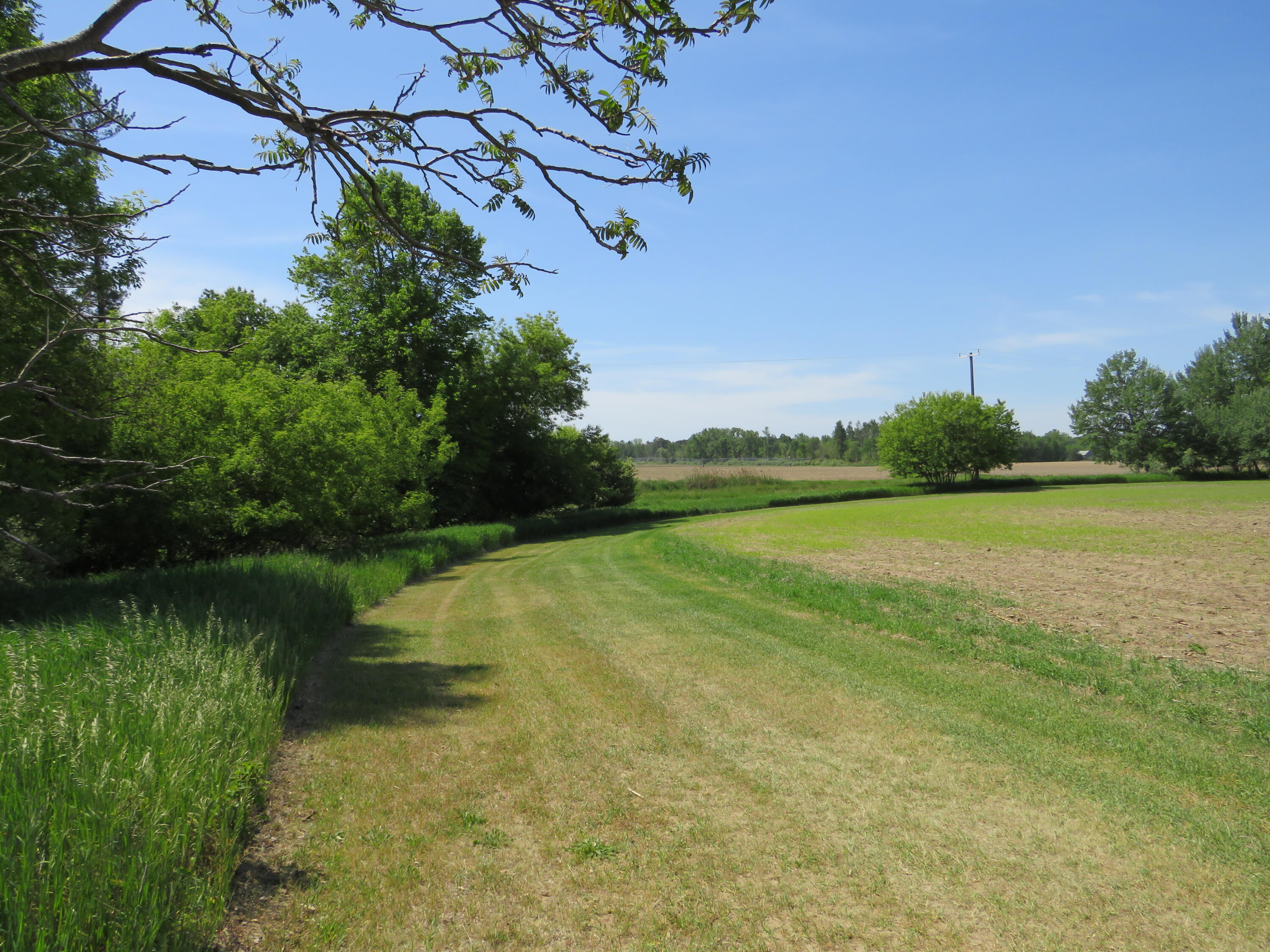 Vl South Elkton Road Owendale, MI 48754 - Photo 25 of 39 IMG_6508