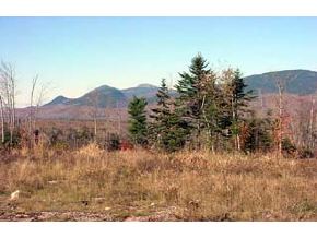 0 Dummer Hill Road Dummer, NH 03588 - Photo 3 of 9