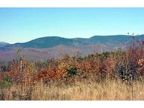 0 Dummer Hill Road Dummer, NH 03588 - Photo 5 of 9