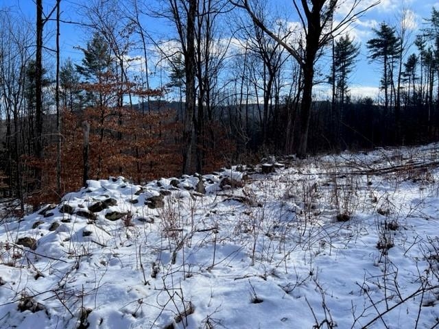 Loverens Mill Road, Unit 29 Antrim, NH 03440 - Photo 11 of 15
