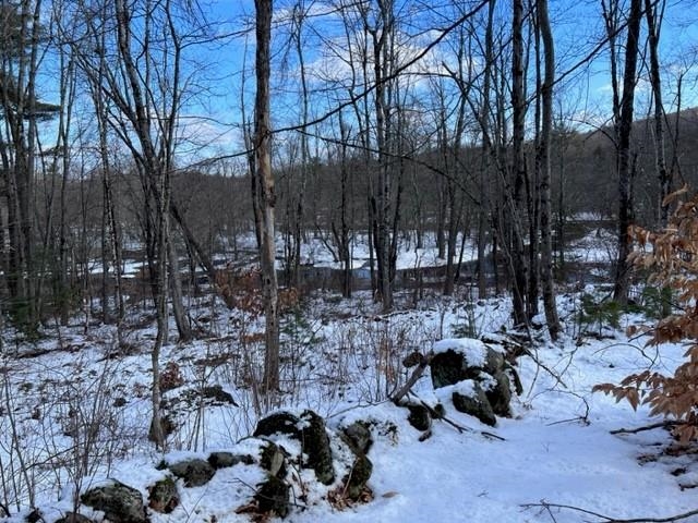 Loverens Mill Road, Unit 29 Antrim, NH 03440 - Photo 12 of 15