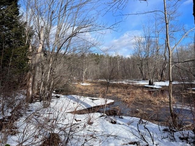Loverens Mill Road, Unit 29 Antrim, NH 03440 - Photo 13 of 15
