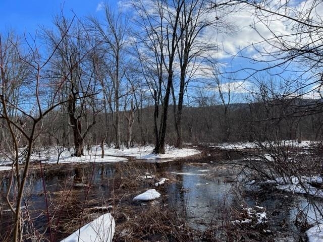 Loverens Mill Road, Unit 29 Antrim, NH 03440 - Photo 14 of 15