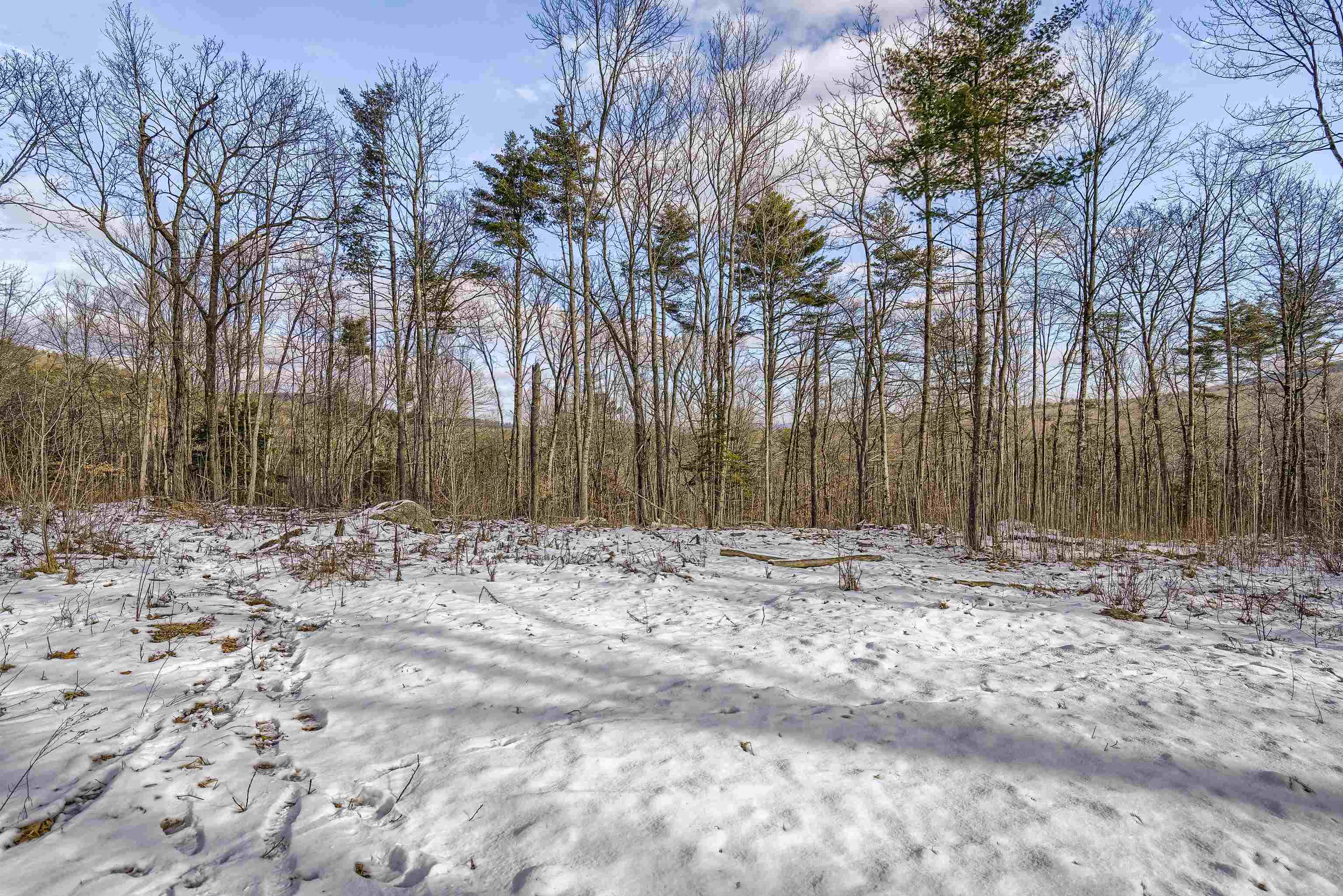 Loverens Mill Road, Unit 29 Antrim, NH 03440 - Photo 3 of 15