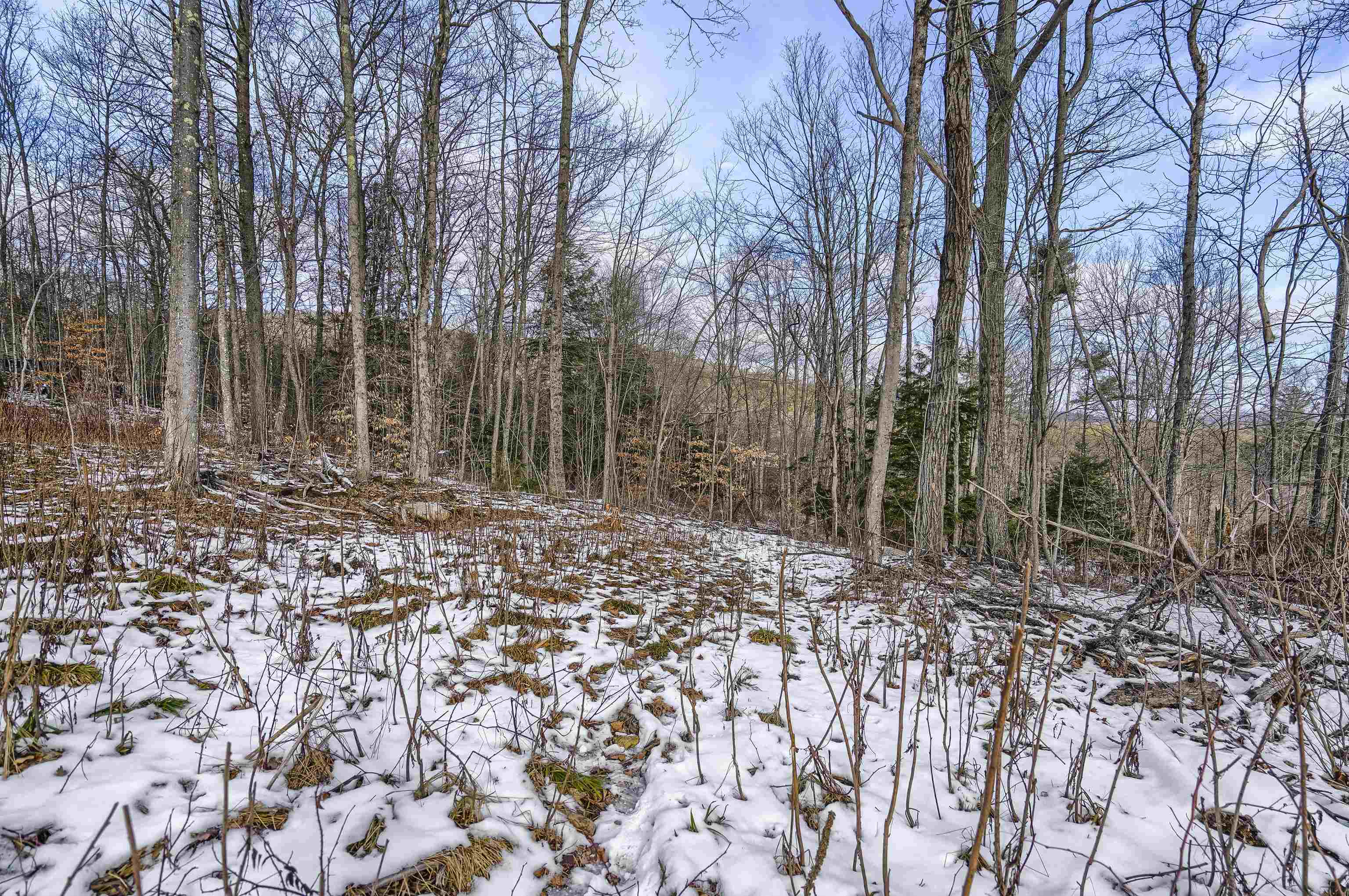 Loverens Mill Road, Unit 29 Antrim, NH 03440 - Photo 6 of 15